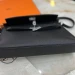 Сумка Hermes Kelly Elan Chevre RB4245