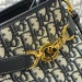 Сумка Christian Dior C'est Dior RE4952
