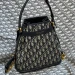Сумка Christian Dior C'est Dior RE4952