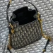 Сумка Christian Dior C'est Dior RE4952