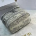 Косметичка Christian Dior DiorTravel RB5114