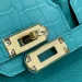 Сумка Hermes Birkin 25 RB5505