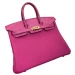 Сумка Hermes Birkin 25 RB5507