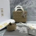 Сумка Christian Dior Lady Dior RR5903