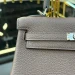 Сумка Hermes Kelly 25 Togo RB5883
