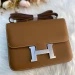 Сумка Hermes Constance 24 RB3952