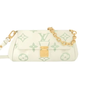 Сумка Louis Vuitton Favorite RR6227