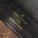 Сумка Louis Vuitton Dauphine Soft MM RR6446