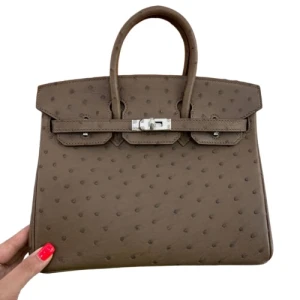 Сумка Hermes Birkin 25 RB6777