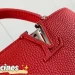 Сумка Louis Vuitton Capucines RR6672