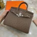 Сумка Hermes Birkin 25 RB6777
