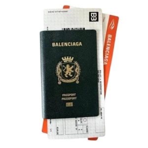 Обложка на паспорт Balenciaga RE6833