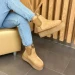 Угги UGG B2438