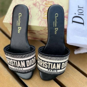 Шлепанцы Christian Dior B3056