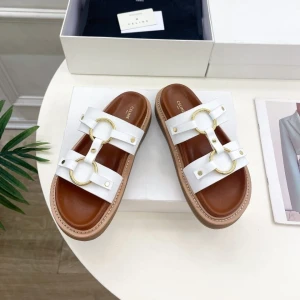 Шлепанцы Celine B3081