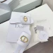 Шлепанцы Christian Dior F4038