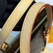Сумка Louis Vuitton Piano RN1341