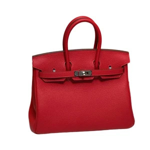 Сумка Hermes Birkin 25 RN1405